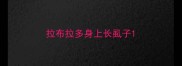拉布拉多身上长虱子