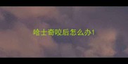 哈士奇咬后怎么办