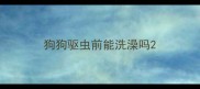 狗狗驱虫前能洗澡吗