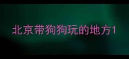 北京带狗狗玩的地方
