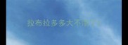 拉布拉多多大不淘了