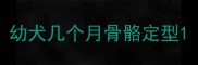 幼犬几个月骨骼定型