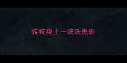 狗狗身上一块块黑斑