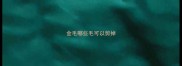 金毛哪些毛可以剪掉