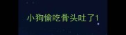 小狗偷吃骨头吐了