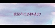 被拉布拉多抓破皮