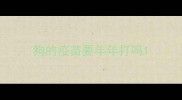 狗的疫苗要年年打吗