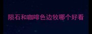 陨石和咖啡色边牧哪个好看