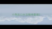 小狗流口水没精神萎靡