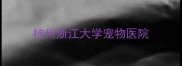 杭州浙江大学宠物医院