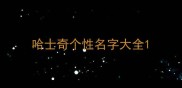 哈士奇个性名字大全