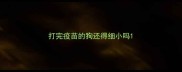 打完疫苗的狗还得细小吗