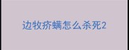 边牧疥螨怎么杀死