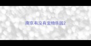 南京有没有宠物乐园