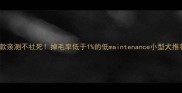 10款亲测不社死掉毛率低于1的低maintenance小型犬推荐