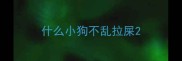 什么小狗不乱拉屎