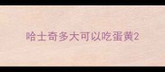 哈士奇多大可以吃蛋黄
