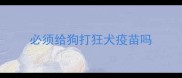 必须给狗打狂犬疫苗吗