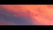 哈士奇正常运动量