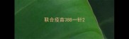 联合疫苗388一针