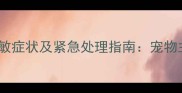 狗狗狂犬疫苗过敏症状及紧急处理指南宠物主人必读的全面