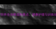 黑色拉布拉多幼犬饲养全攻略选购要点健康护理与训练技巧新手必看
