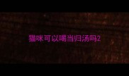 猫咪可以喝当归汤吗