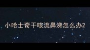 小哈士奇干咳流鼻涕怎么办