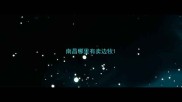 南昌哪里有卖边牧