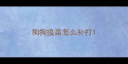 狗狗疫苗怎么补打