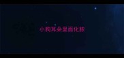 小狗耳朵里面化脓