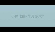 小体比熊2个月多大