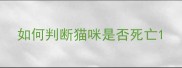 如何判断猫咪是否死亡