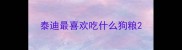 泰迪最喜欢吃什么狗粮