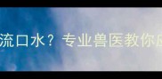 狗狗打完疫苗后大量流口水专业兽医教你应对方法与注意事项