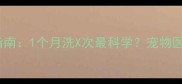 金毛边牧洗澡频率指南1个月洗X次最科学宠物医生亲授洗澡注意事项
