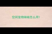 空间宠物辣椒怎么用