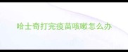 哈士奇打完疫苗咳嗽怎么办