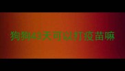狗狗43天可以打疫苗嘛