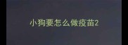 小狗要怎么做疫苗