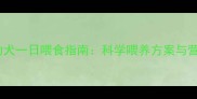 四个月大幼犬一日喂食指南科学喂养方案与营养管理全