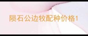 陨石公边牧配种价格