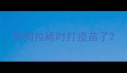 狗狗拉稀时打疫苗了