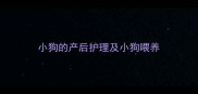 小狗的产后护理及小狗喂养