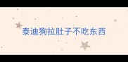 泰迪狗拉肚子不吃东西