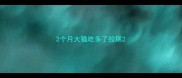 2个月大猫吃多了拉稀