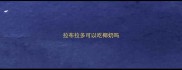 拉布拉多可以吃椰奶吗