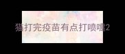猫打完疫苗有点打喷嚏
