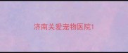 济南关爱宠物医院