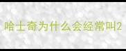 哈士奇为什么会经常叫
